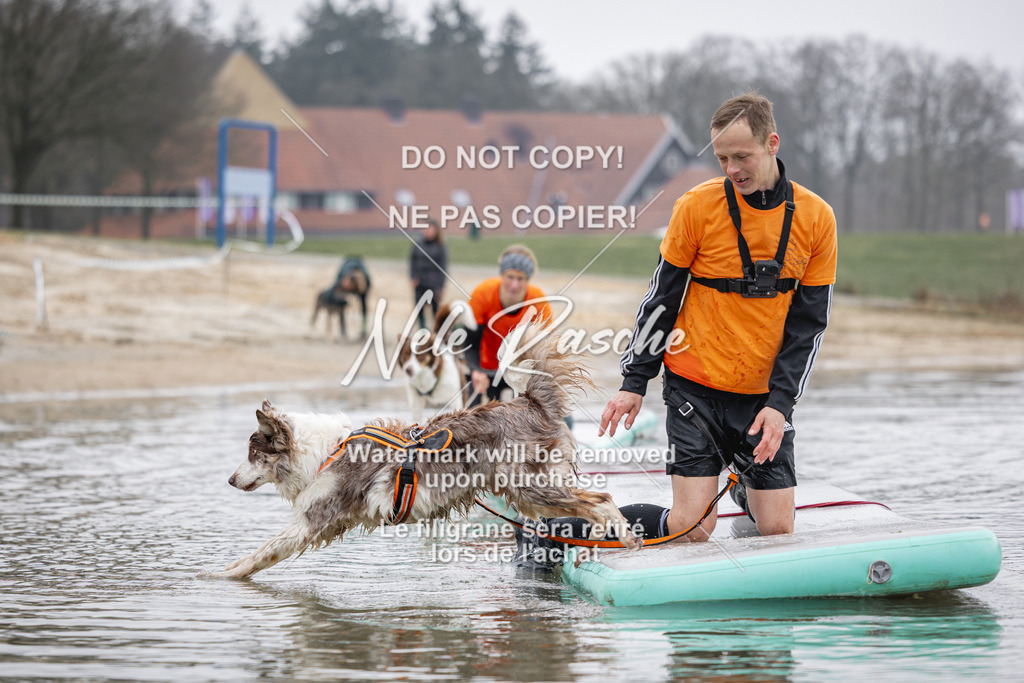 nelerasche_Hulsbeek_Sa1100-1130_615 | nelerasche