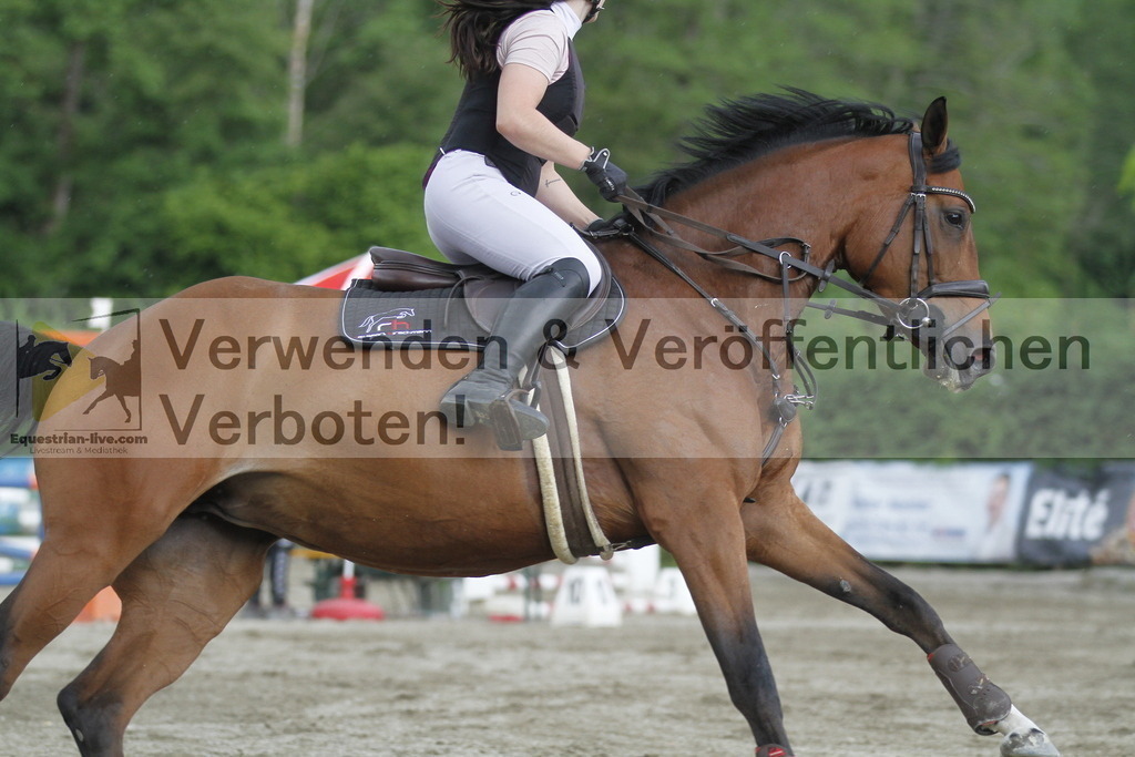 _MG_6553 | equestrian-live-com