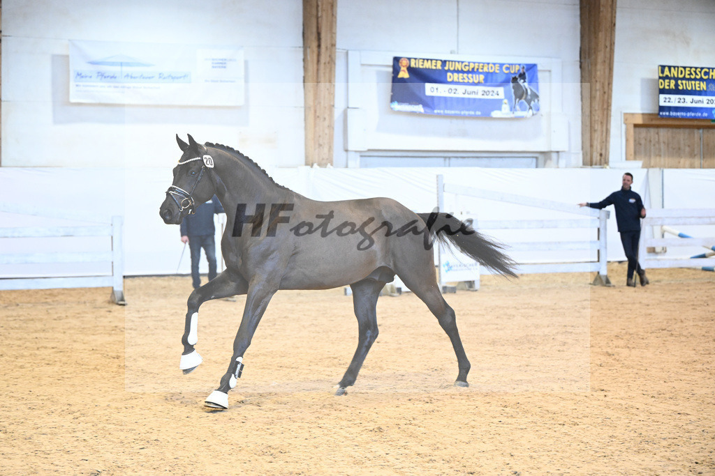 Kat-Nr. 20 v. Marc Cain_Seiler_6240442 | hf-fotografie - Realisiert mit Pictrs.com