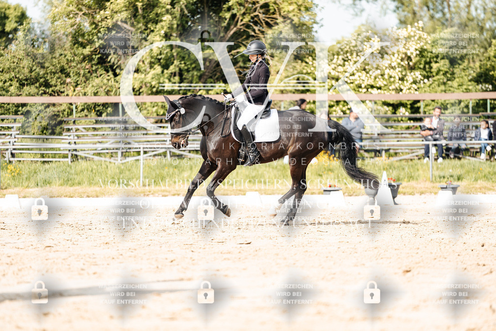 CK900349 | Turnierfotografie Pferdefotografie Trier Rheinland-Pfalz Pferdesport Reitsport Tierfotografie Sportfotografie Pferdevideo Pferdevideografie Equestrianvideography equestrianphotography  - Realisiert mit Pictrs.com