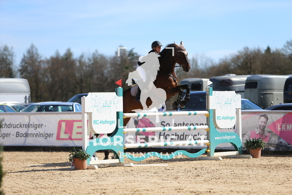 DL2Q4756 | Willkommen bei Brunnmayr - Design & Fotografie – Ihrem Spezialisten für Reitturniere und Pferdeveranstaltungen in Oberösterreich, Salzburg und Bayern! Seit über 17 Jahren sind wir leidenschaftlich dabei.