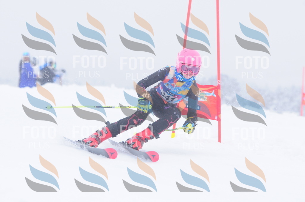 C3658 | holidayphoto