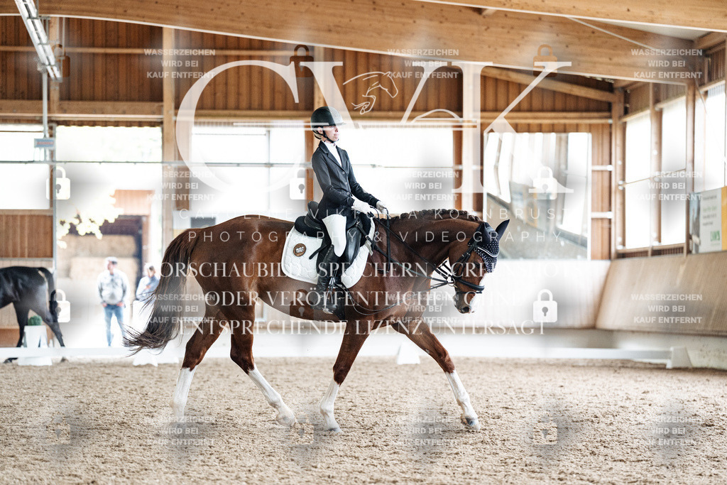 CK900919 | Turnierfotografie Pferdefotografie Trier Rheinland-Pfalz Pferdesport Reitsport Tierfotografie Sportfotografie Pferdevideo Pferdevideografie Equestrianvideography equestrianphotography  - Realisiert mit Pictrs.com