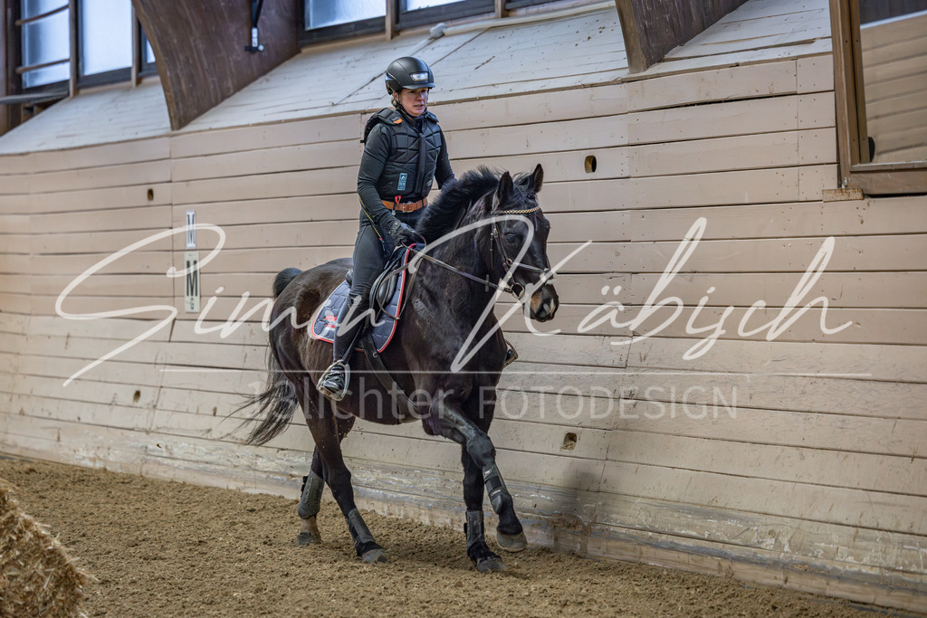 20260221-_3LI8234 | Tierfotografie Pferde, Hunde, Katzen, Haustiere.
Turnierfotografie Reitturniere, Reiten, Springreiten, Dressur in Hanau, dem Main-Kinzig-Kreis und dem Rhein-Main- Gebiet um Frankfurt