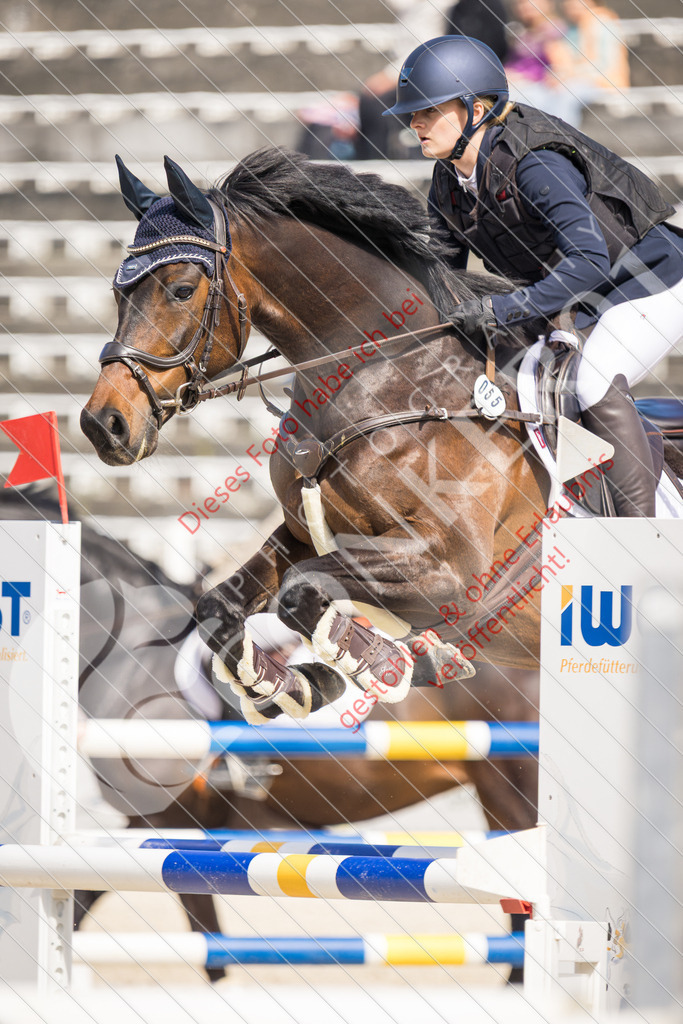 IMG_4584 | Sport-, Event- und Tierfotos in Profiqualität. Einfach auswählen, bestellen und herunterladen. Dein Moment – perfekt festgehalten.
