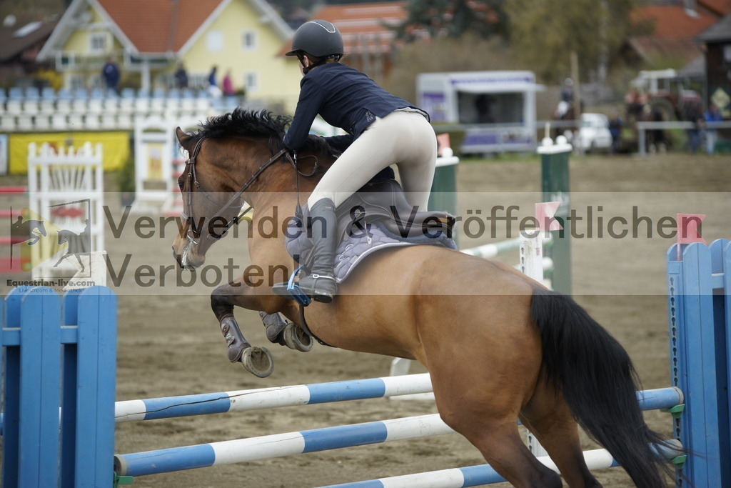 _DSC7380 | equestrian-live-com