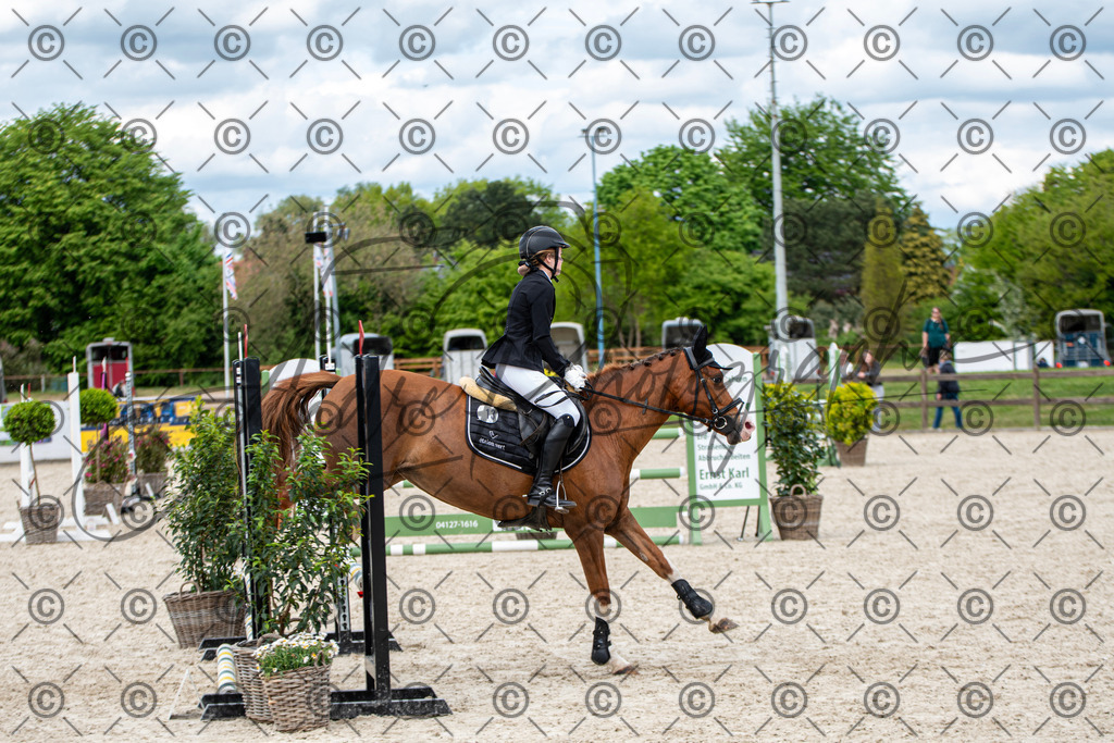 KPT_6291 | andre_photographic