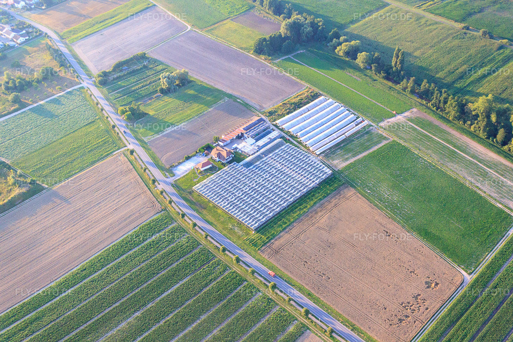 Luftbild: Sandhof in Herxheim bei Landau im Bundesland Rheinland-Pfalz in Deutschland. Foto: IMG_70139.jpg vom 19.07.2014 durch Werner Riehm/FLY-FOTO.de