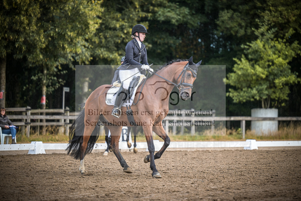 DOS_1045 | Entdecke hochwertige Reitturnierfotos von Foto Oger. Professionell, emotional und authentisch – jetzt Lieblingsmomente im Shop bestellen.Deutschlandweite Turnierfotografie. - Realisiert mit Pictrs.com