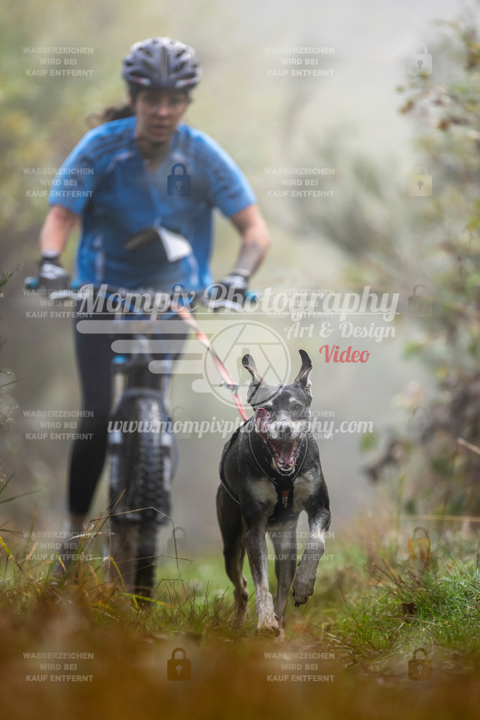 MompixPhotography_20TSB_E4_DS1-35 | PayLife