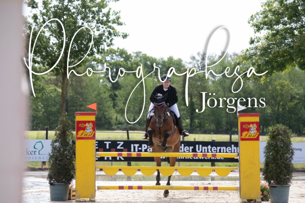 IMG_4008 | photographesa-joergens - Realisiert mit Pictrs.com