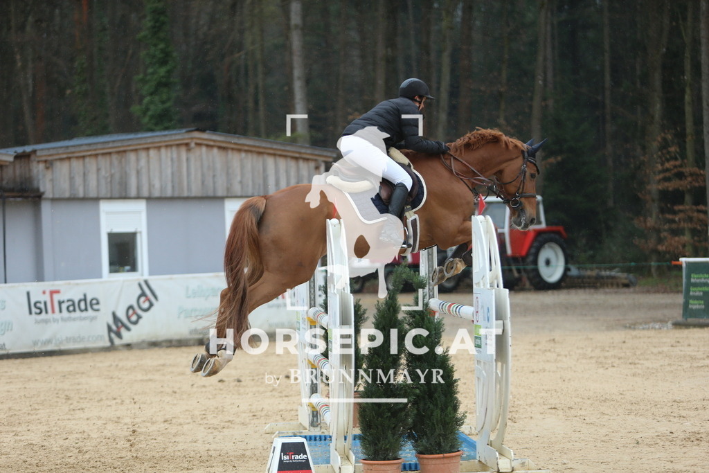 DL2Q6877 | Willkommen bei Brunnmayr - Design & Fotografie – Ihrem Spezialisten für Reitturniere und Pferdeveranstaltungen in Oberösterreich, Salzburg und Bayern! Seit über 17 Jahren sind wir leidenschaftlich dabei.