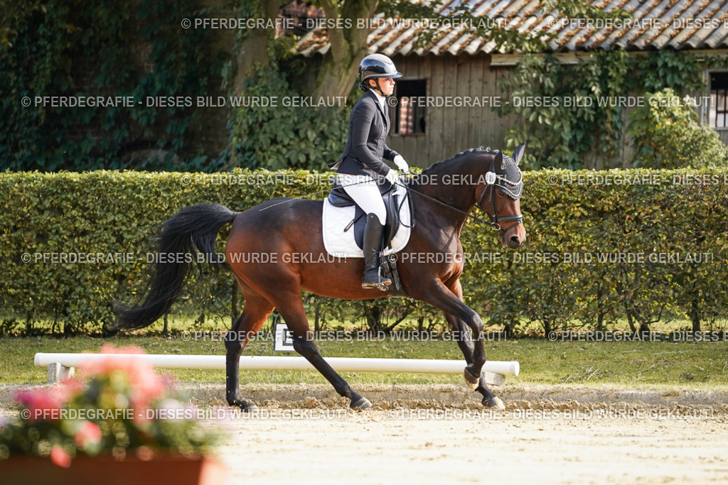 DSC05681 | Pferdegrafie