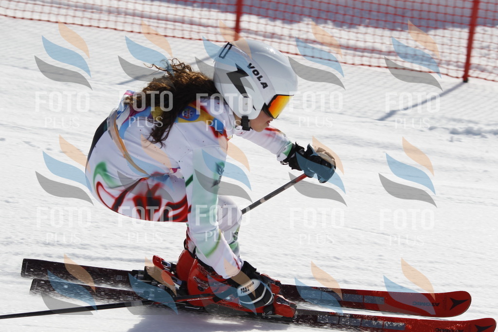 _U3G9449 | holidayphoto