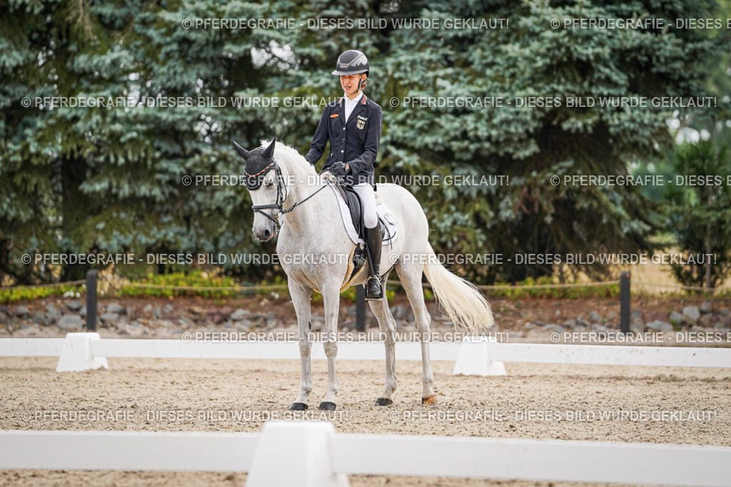 DSC02128 | Pferdegrafie