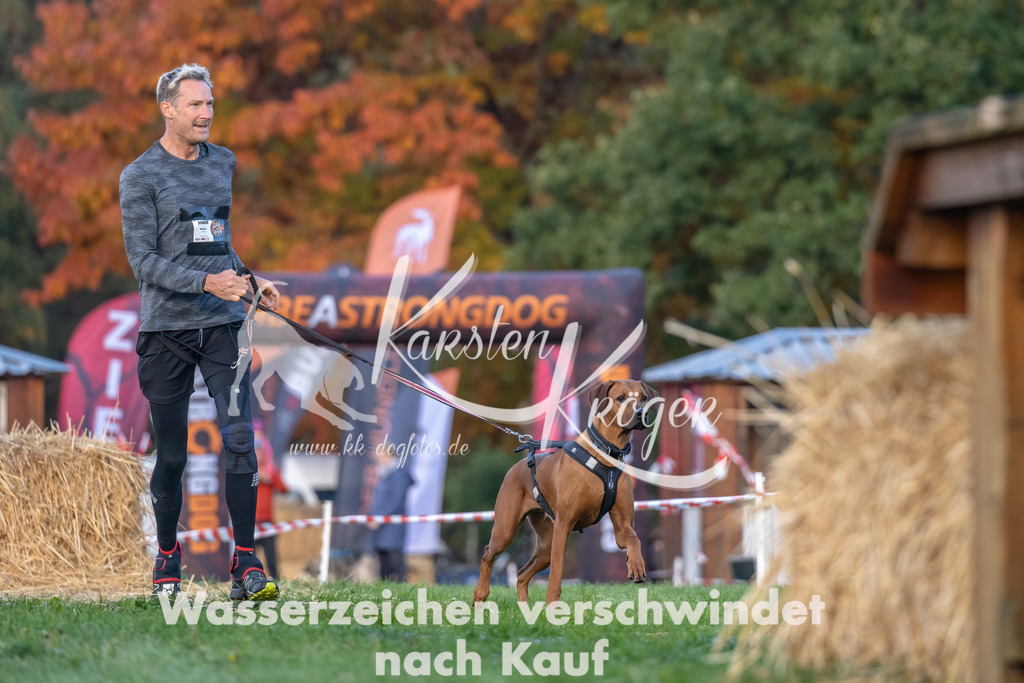 0845_ZZ91304-Bearbeitet | kk-dogfotos