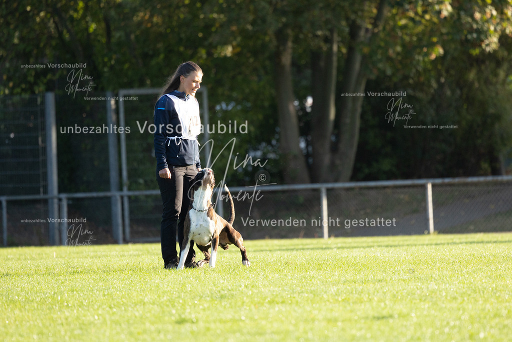 _16A6073 | Einzigartige Fotos von Hunden & Menschen –Actionfotos, Portraits, Vereinsaufnahmen & Paarshootings – authentisch, lebendig & mit Herz.