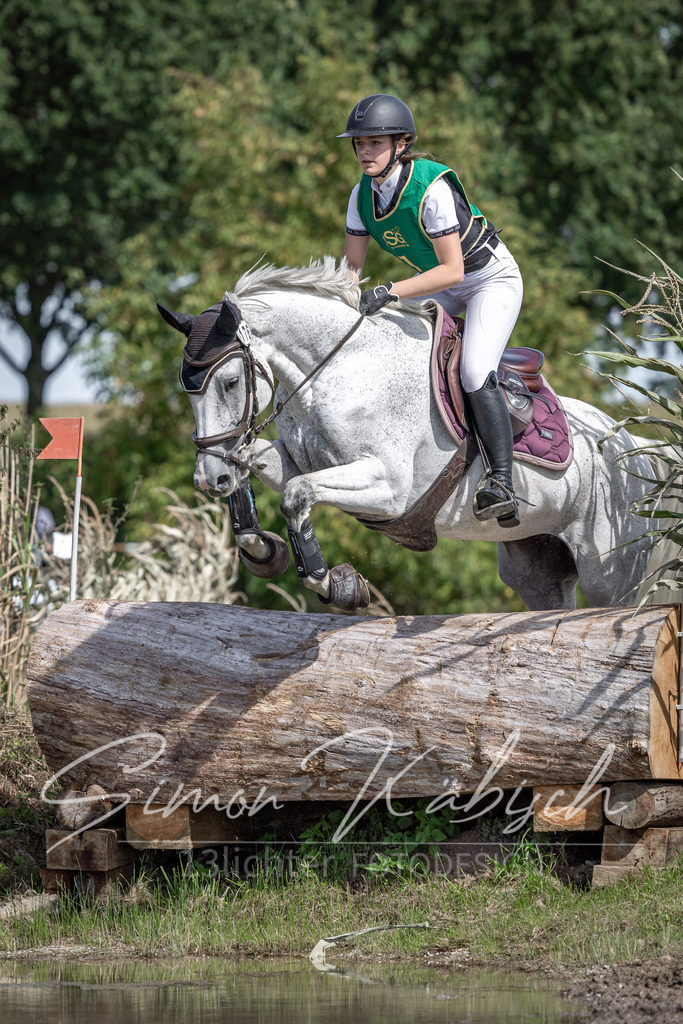 20250907-_3LI0673 | Tierfotografie Pferde, Hunde, Katzen, Haustiere.
Turnierfotografie Reitturniere, Reiten, Springreiten, Dressur in Hanau, dem Main-Kinzig-Kreis und dem Rhein-Main- Gebiet um Frankfurt