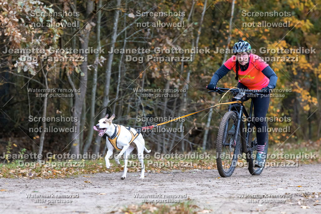 Dog Paparazzi - SD CaniX Championship 2025-203 | Dog Paparazzi Jeanette Grottendiek Fotografie & Videografie - Realisiert mit Pictrs.com