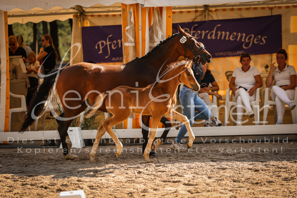 11.DoRP00175 | Leoni Ertmer Photography - Realisiert mit Pictrs.com