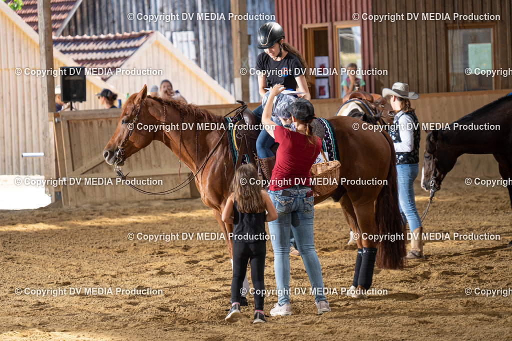 DSC00181 | dv-media-shop - Realisiert mit Pictrs.com