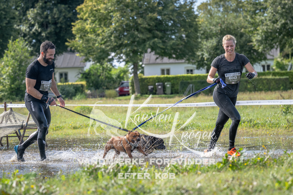 1147_ZZ91487 | kk-dogfotos