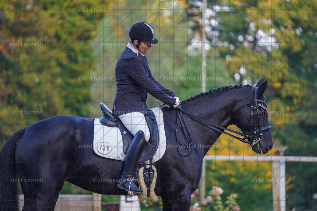 20221007-FAH00593 | Diessen am Ammersee, 2022, Dressur- und Springturnier, Reitsportbilder, Turnierfotografen Bayern, Pferdefotografen, Fotoagentur Herrmann, Turnierbilder