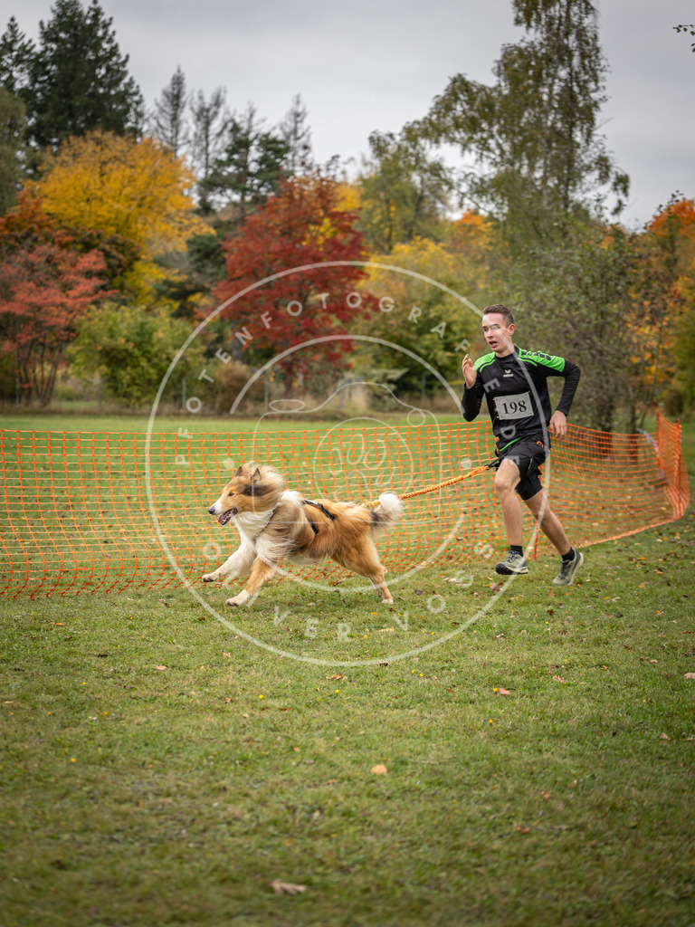 Pfotenfotografie_DV3A3847 | Hundefotografie, Tierfotograf, Pfotenfotografie, Fotoshooting Hund, Hunde Portrait, Hundesport, Hundeportraits, Heideshooting, Hunde, Sportfotograf, Hundefotograf, Turnierhundsport, THS,  - Realisiert mit Pictrs.com
