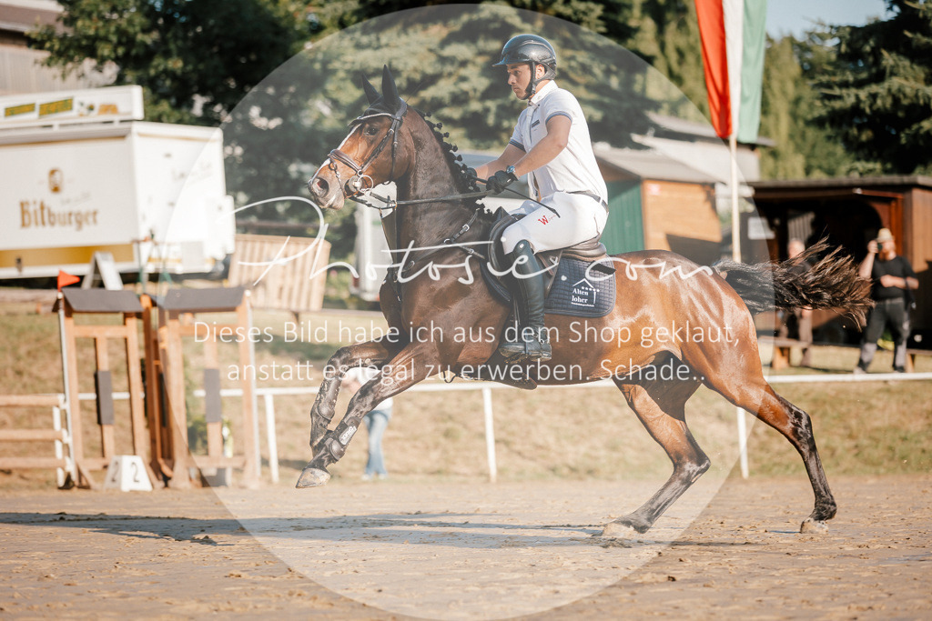 3I6A6049 | Stimmungsvolle Portraits und Reitsportfotografie im Ruhrgebiet und im Münsterland.

Pferdefotografie, Hundefotografie, Tierfotografie, Reportagen, Portraits von Tier und Mensch, Turnierfotografie in Bochum, Recklinghausen, Marl, Haltern am See, Dülmen.. - Realisiert mit Pictrs.com