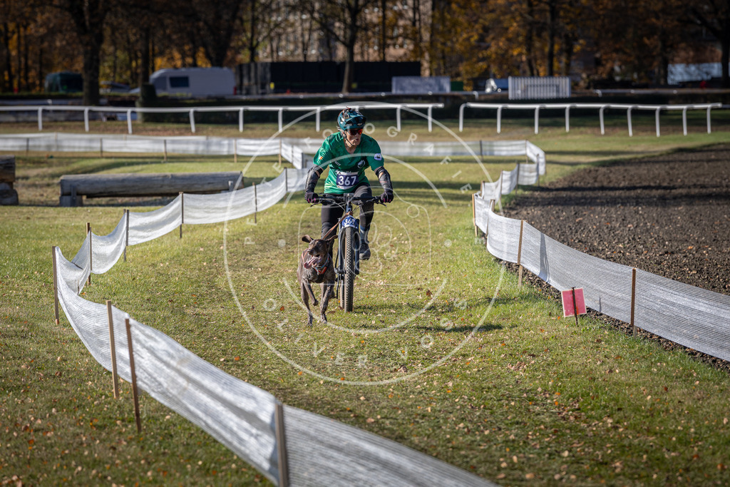 CaniXpix_DV3A7560 | Hundefotografie, Tierfotograf, Pfotenfotografie, Fotoshooting Hund, Hunde Portrait, Hundesport, Hundeportraits, Heideshooting, Hunde, Sportfotograf, Hundefotograf, Turnierhundsport, THS,  - Realisiert mit Pictrs.com