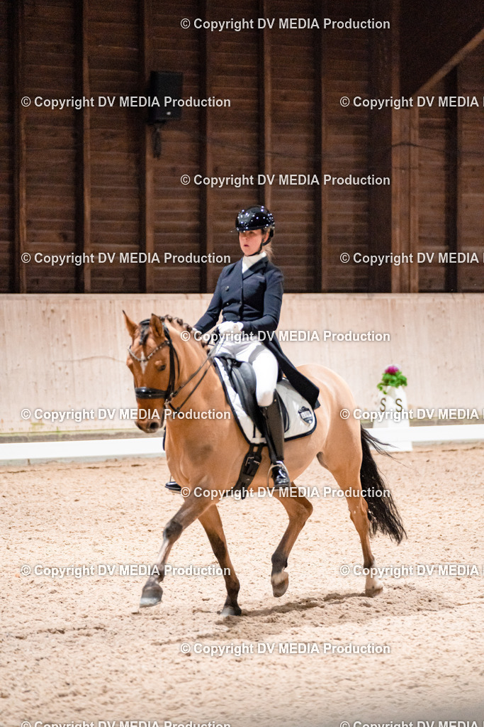 Dressur Tag 2-629 | dv-media-shop - Realisiert mit Pictrs.com