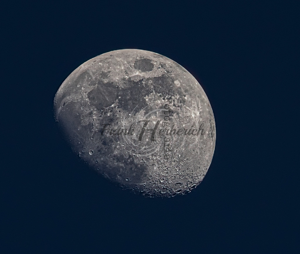 _X0A8738bea | Frank Herberich Fotografie, Frank Herberich, Fotografie, Hochzeit, Portrait, St. Peter Ording, Ording, Westerhever, Nordsee, Frank Fotografie, Hardheim,  Odenwald,Walldürn, Band,Eventfotografie - Realisiert mit Pictrs.com