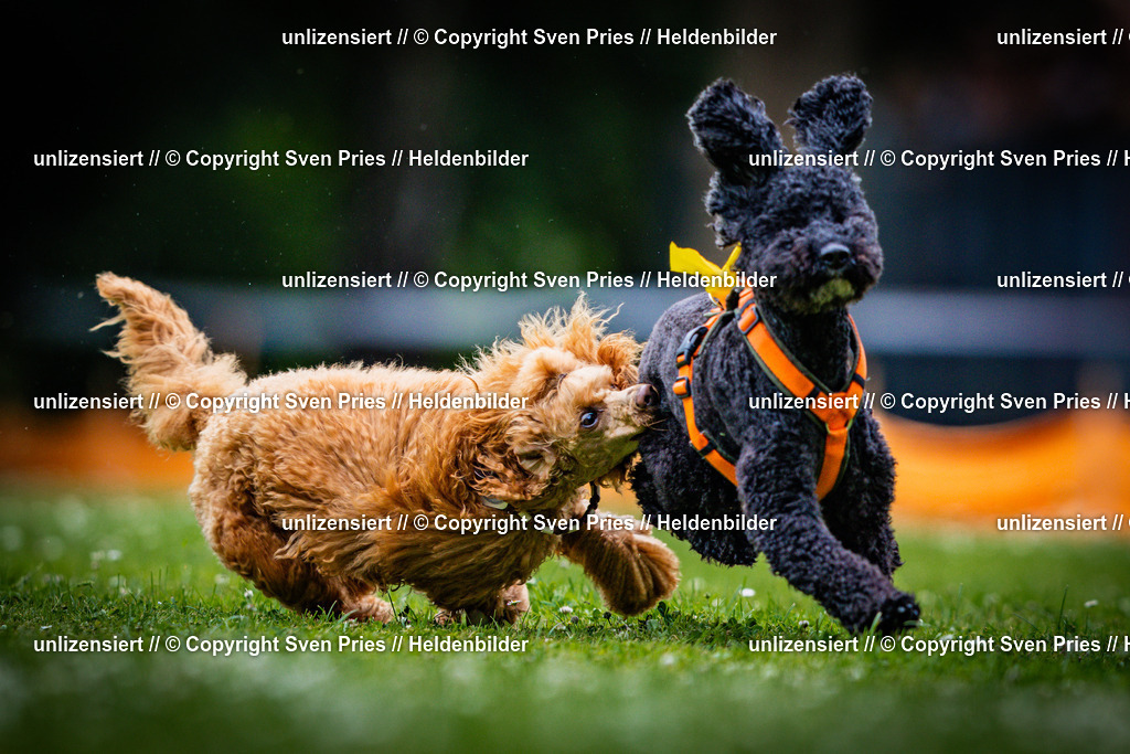 Sven Pries | 2025-05-29 - Pudelrennen KA-Durlach - Realisiert mit Pictrs.com