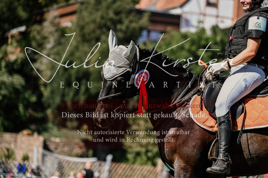 DSC_2615 | Pferde- und Turnierfotografie in Westsachsen. Pferdeportraits, Auftragszeichnungen und intuitive Kunst.