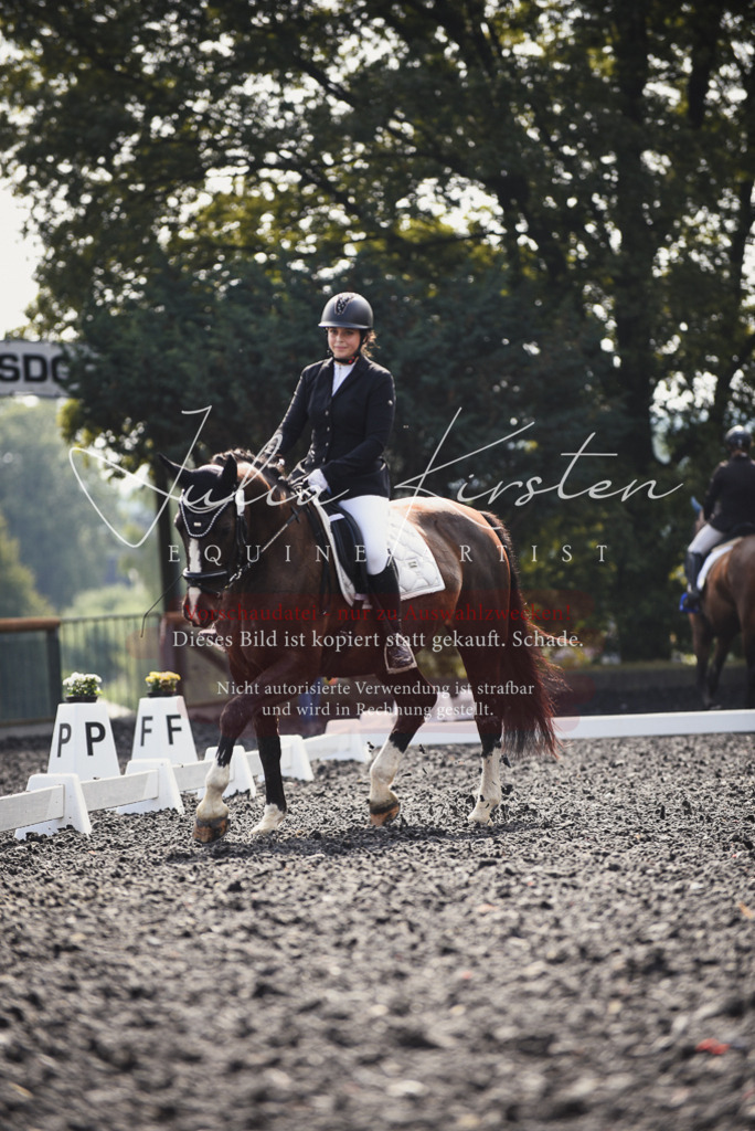 DSC_3623 | Pferde- und Turnierfotografie in Westsachsen. Pferdeportraits, Auftragszeichnungen und intuitive Kunst.