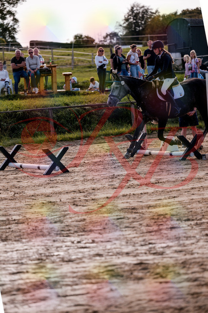 2026_10_03_Siefer-Hof_144904_Z81_26824759 | Professionelle Reitsport-, Turnier- und Eventfotografie von Robert Broda. Galerien mit ausgewählten und bearbeiteten Bildern direkt online ansehen und bestellen.