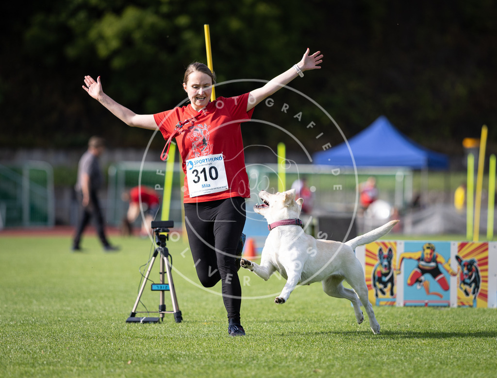Pfotenfotografie_DV3A1710 | Hundefotografie, Tierfotograf, Pfotenfotografie, Fotoshooting Hund, Hunde Portrait, Hundesport, Hundeportraits, Heideshooting, Hunde, Sportfotograf, Hundefotograf, Turnierhundsport, THS,  - Realisiert mit Pictrs.com