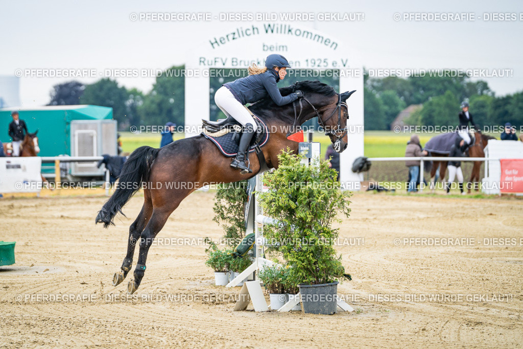 DSC05418 | Pferdegrafie