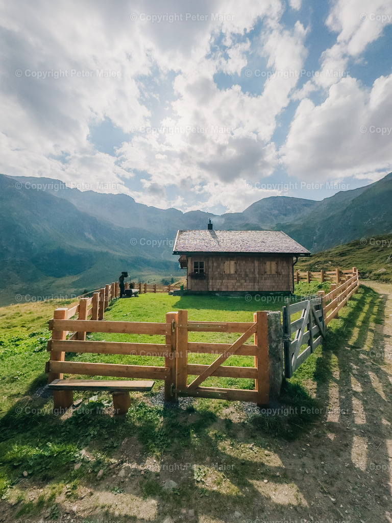 Vorderer_Geißelkopf-254 | piet_flosse