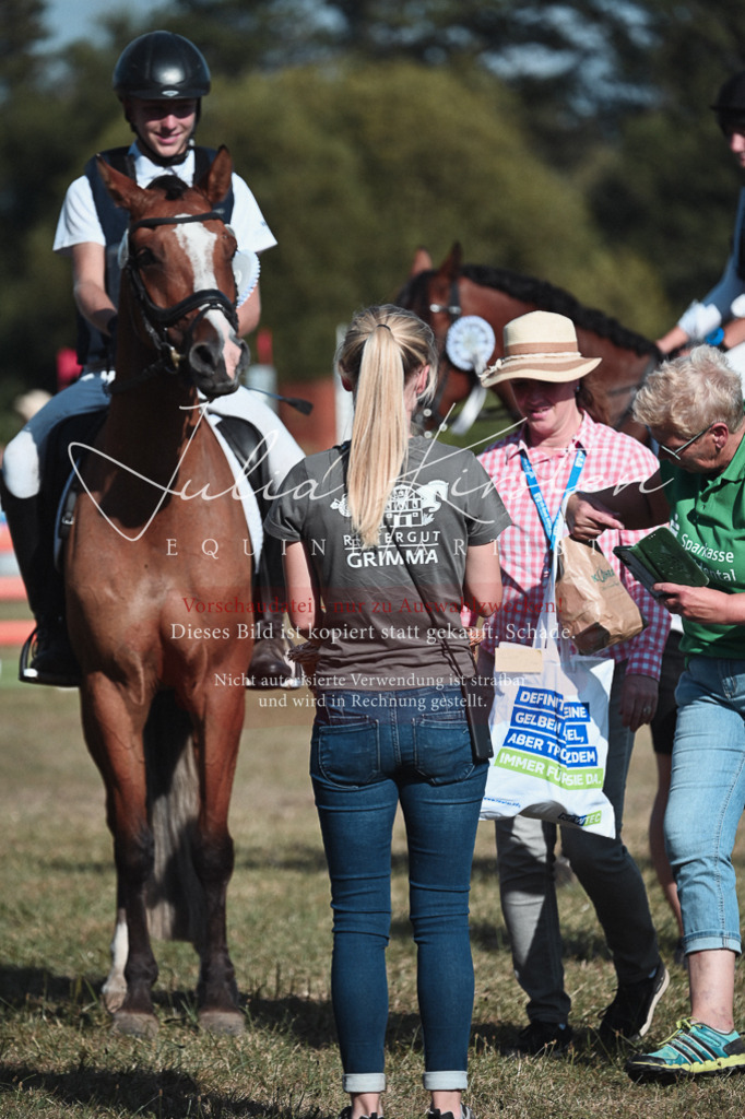 DSC_8857 | Pferde- und Turnierfotografie in Westsachsen. Pferdeportraits, Auftragszeichnungen und intuitive Kunst.