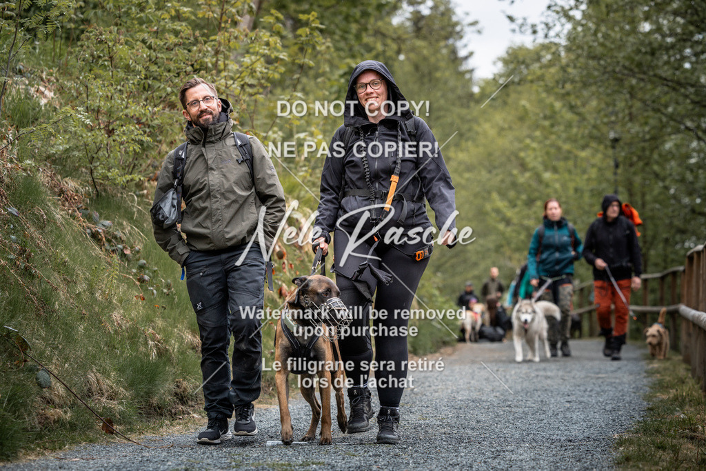 nelerasche_SaAbends_168 | nelerasche
