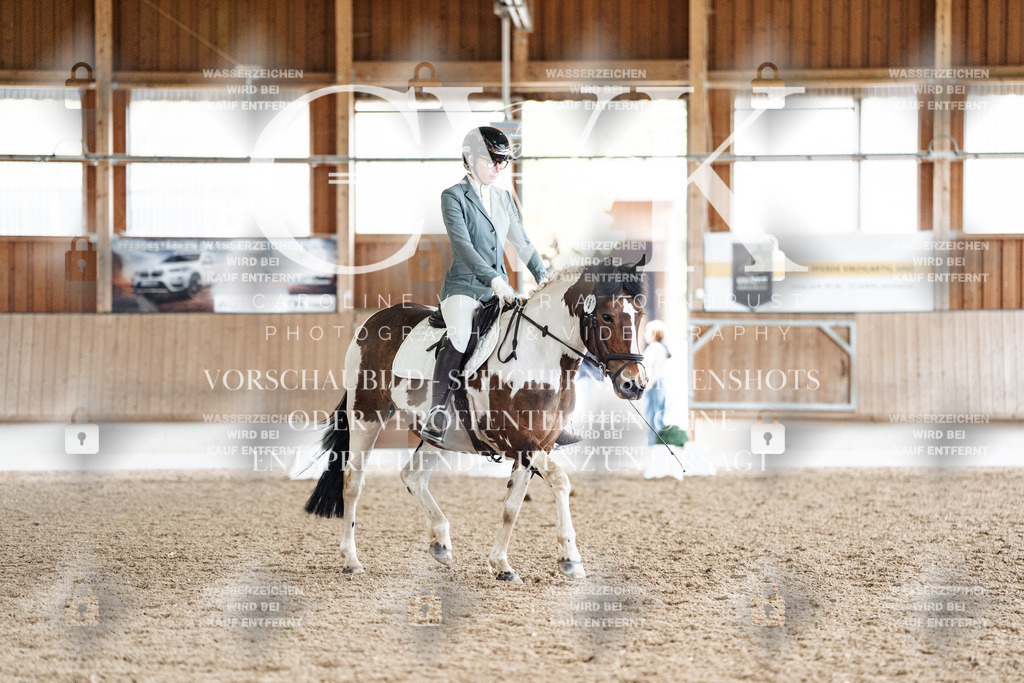CK901025 | Turnierfotografie Pferdefotografie Trier Rheinland-Pfalz Pferdesport Reitsport Tierfotografie Sportfotografie Pferdevideo Pferdevideografie Equestrianvideography equestrianphotography  - Realisiert mit Pictrs.com