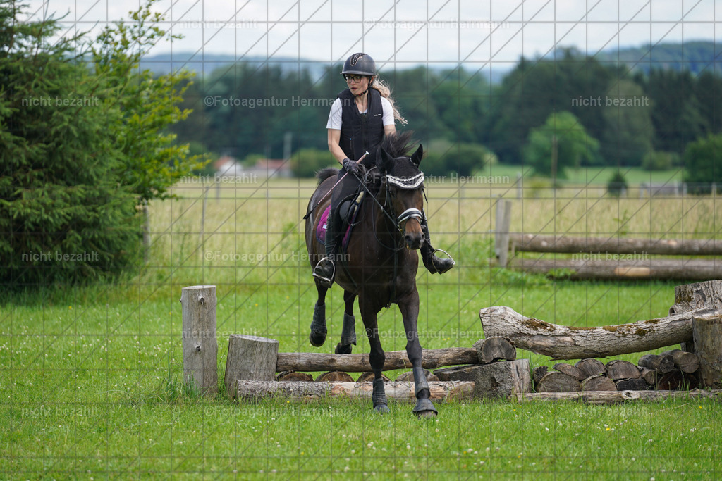 20240622-FAH07426 | Turnierfotografen Bayern, Reitsportbilder aus dem Geländekurs mit Felix Etzel auf dem Gut Waitzacker 2024