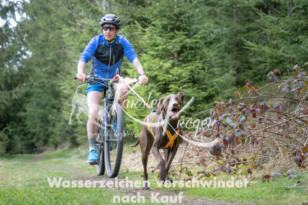 1312_ZZ94042 | kk-dogfotos
