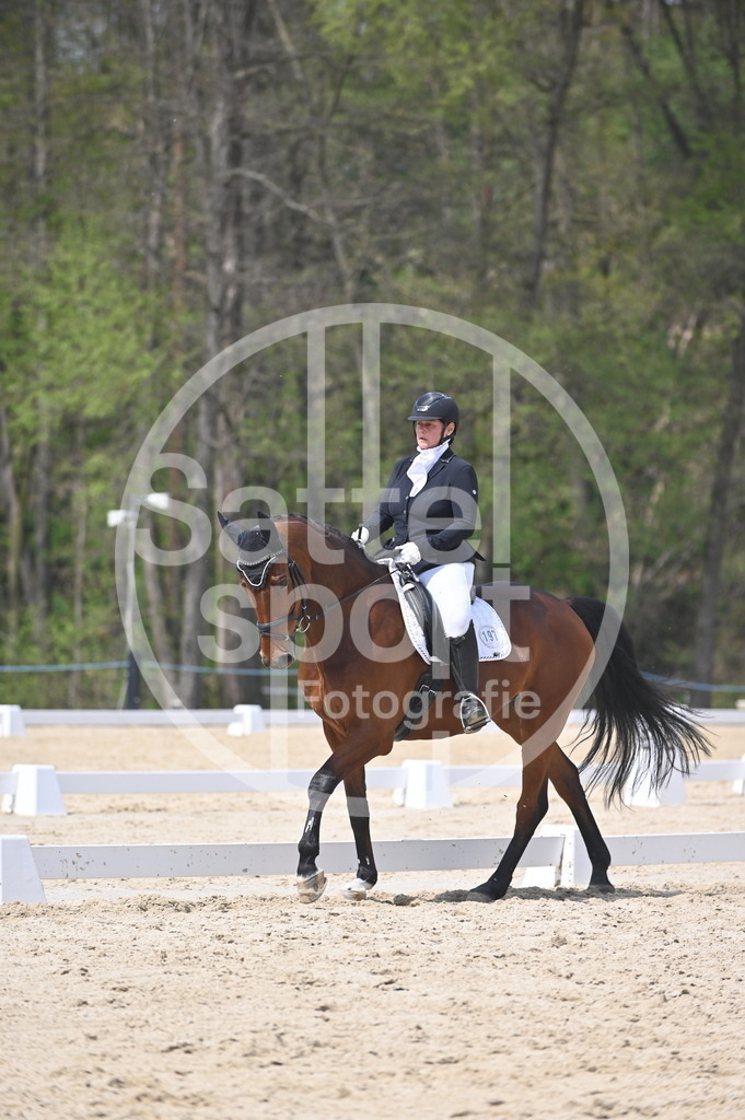 DSC_2117 | sattelsport - Realisiert mit Pictrs.com