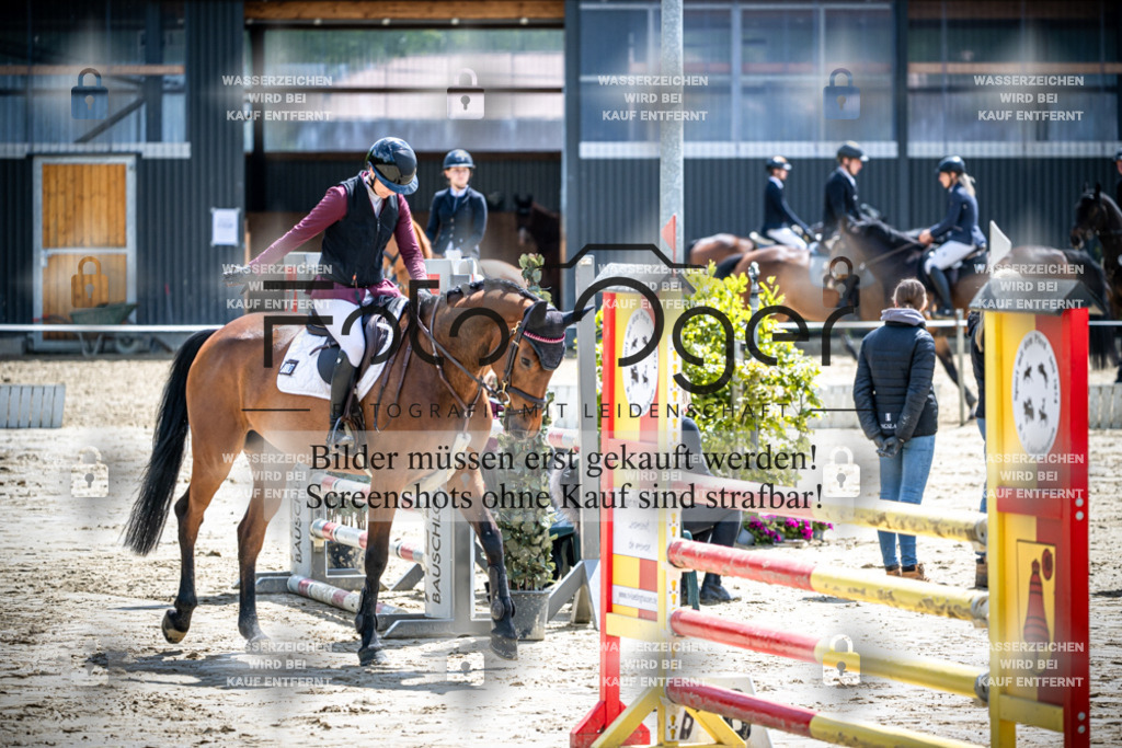 DOS_1655 | Reitturnier Lüdinghausen - Realisiert mit Pictrs.com