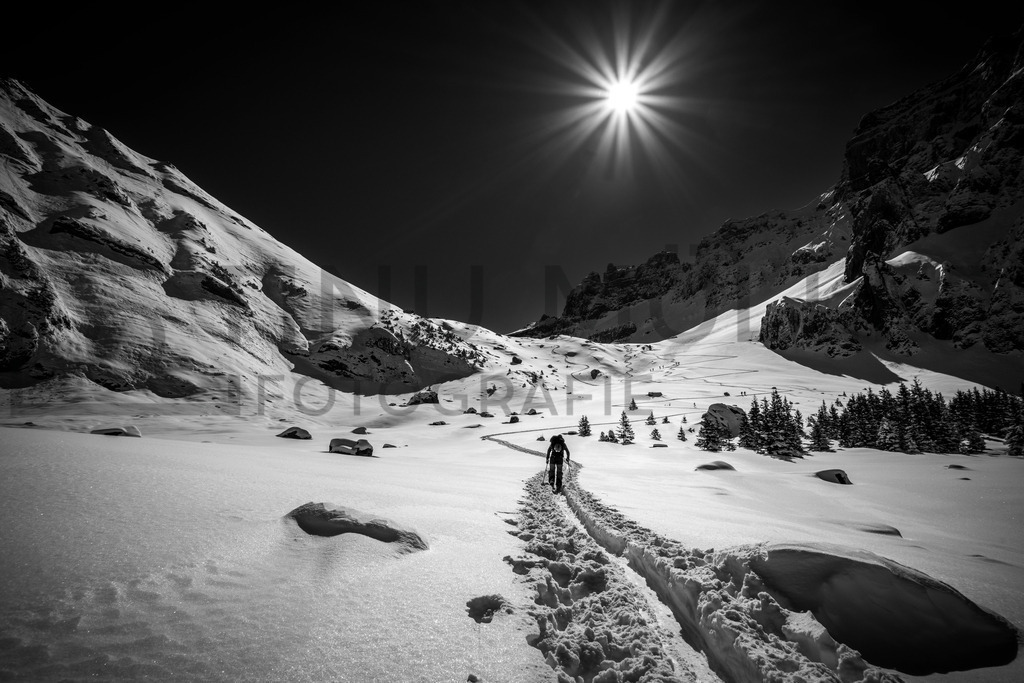 DSC03466 | Tinu Müller Fotografie- Bildershop - Realisiert mit Pictrs.com