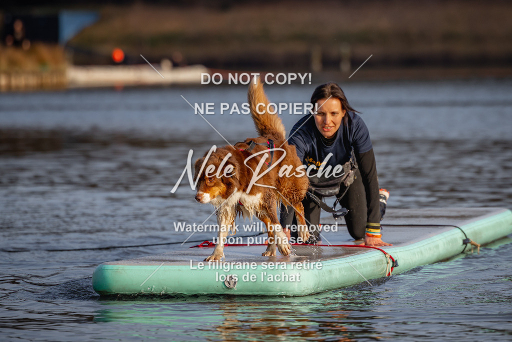 nelerasche_Hulsbeek_Sa1700-1730_14 | nelerasche