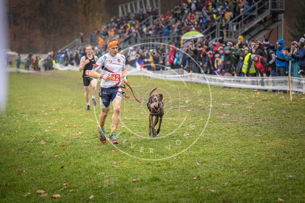 CaniXpix_DV3A9870 | Hundefotografie, Tierfotograf, Pfotenfotografie, Fotoshooting Hund, Hunde Portrait, Hundesport, Hundeportraits, Heideshooting, Hunde, Sportfotograf, Hundefotograf, Turnierhundsport, THS,  - Realisiert mit Pictrs.com