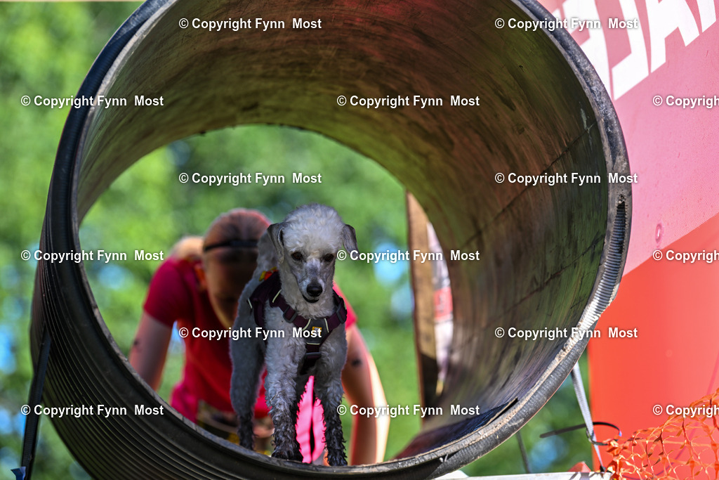 DSC_0817 | Hallo und herzlich Willkommen auf meiner Shop-Seite Fynn Most.

Ich wünsche Dir viel Spaß beim stöbern durch die Bilder, wenn Du Fragen hast oder Bilder vermisst, kannst du mir gerne eine Nachricht schreiben. - Realized with Pictrs.com